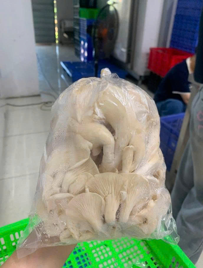 Nấm tươi tự nhiên: Bí quyết cho bữa ăn dinh dưỡng